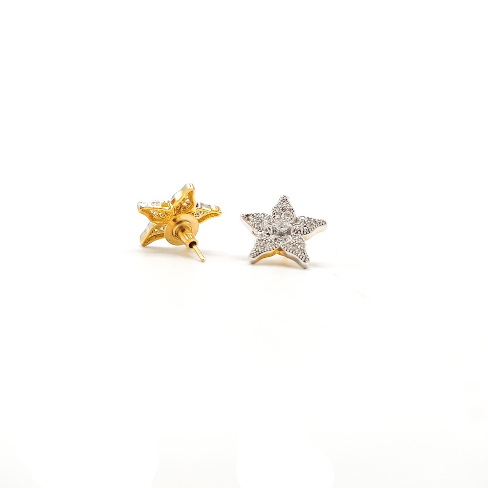 Earrings silver and gold